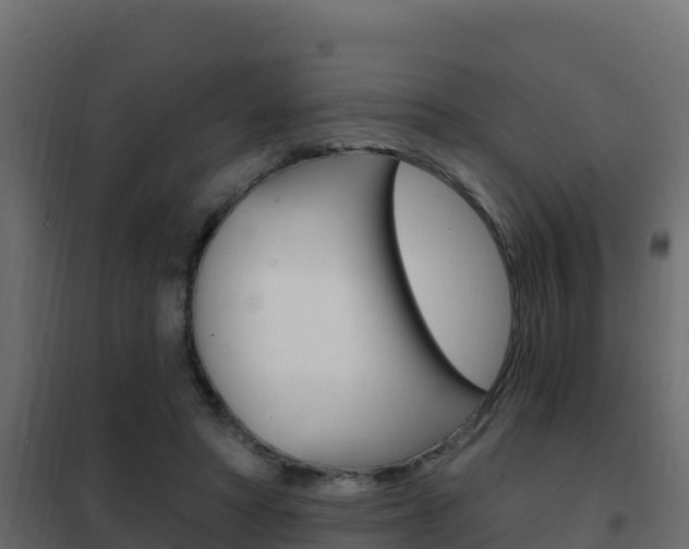X0000102490402200808081101