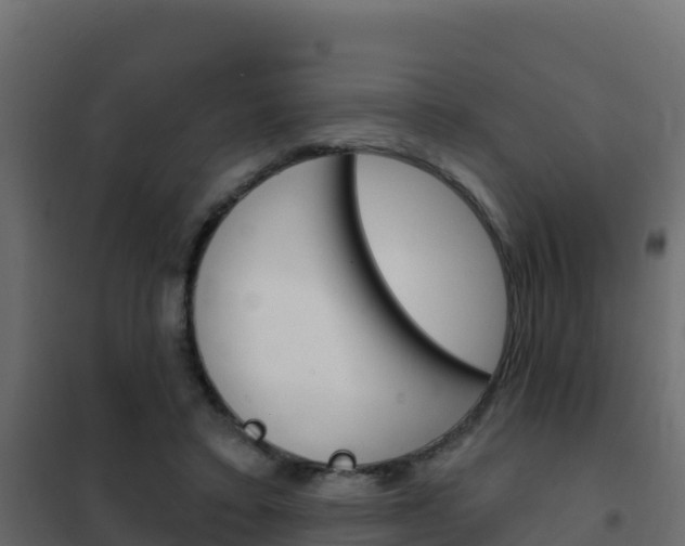 X0000102490403200808081101