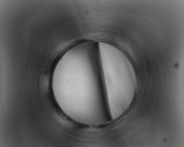 X0000102490404200808081101