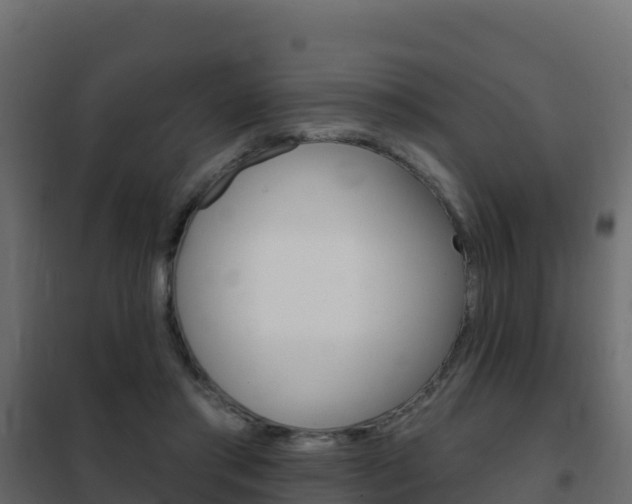 X0000102490405200808081101