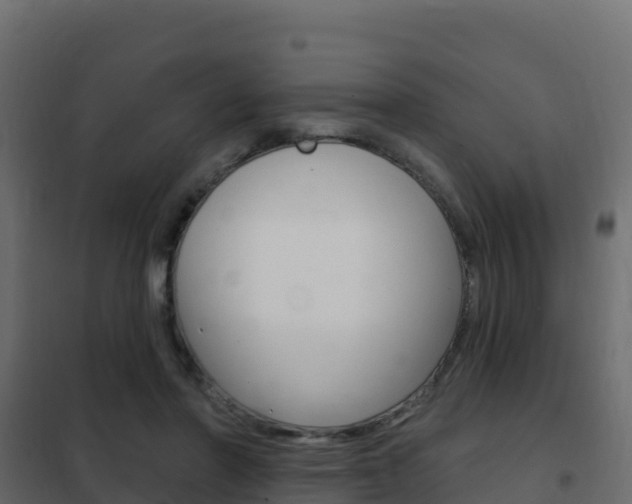 X0000102490406200808081101