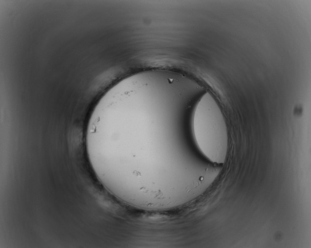 X0000102490407200808081101