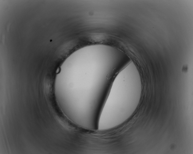 X0000102490408200808081101