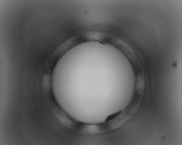 X0000102490409200808081101