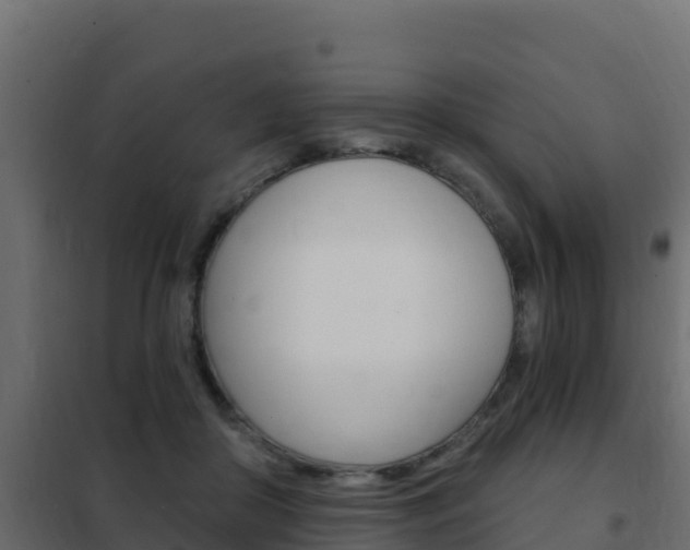 X0000102490410200808081101