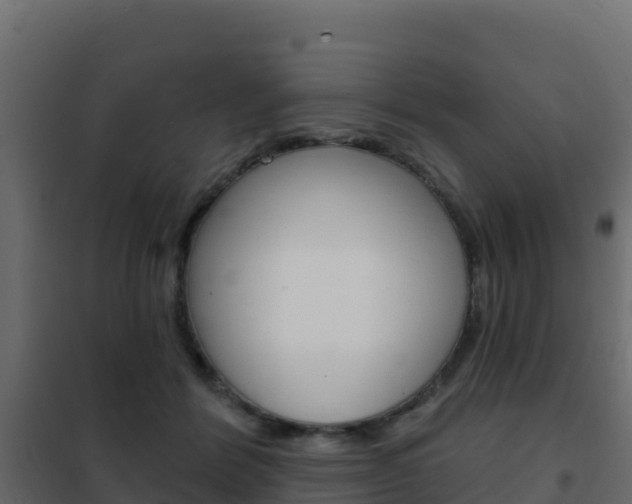 X0000102490412200808081101