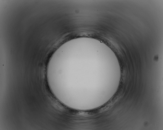 X0000102490413200808081101