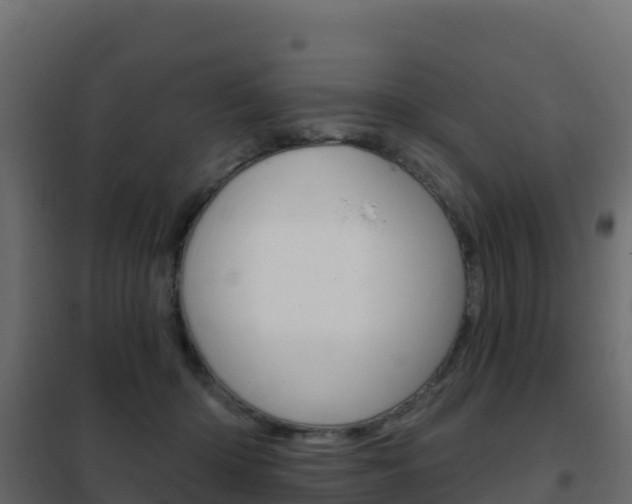 X0000102490414200808081101