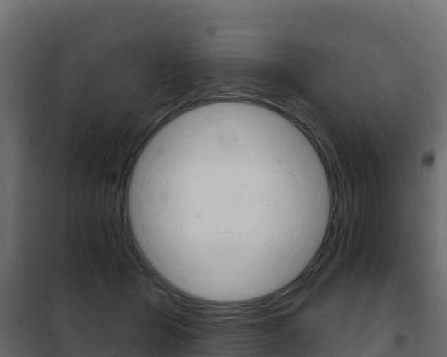 X0000102490415200808081101