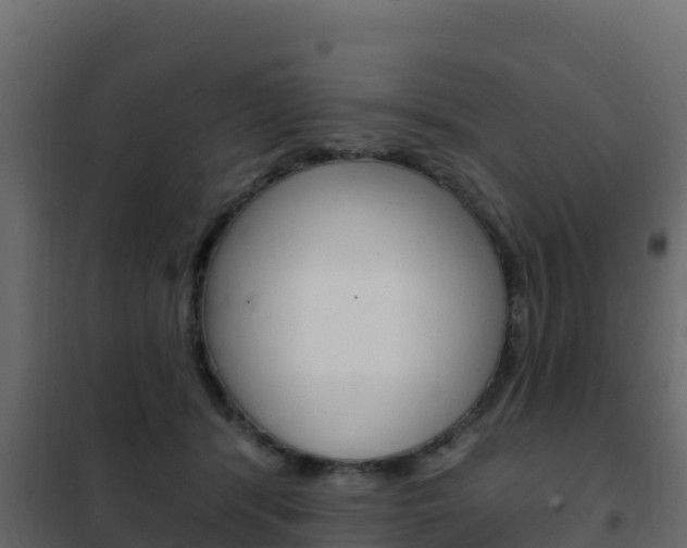 X0000102490416200808081101