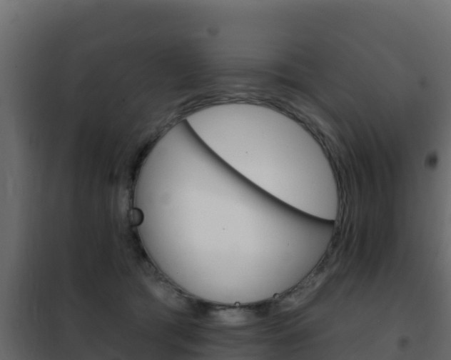 X0000102490417200808081101
