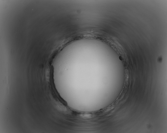 X0000102490419200808081100