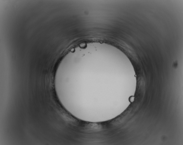 X0000102490421200808081100