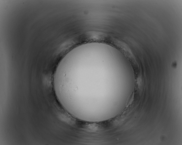 X0000102490423200808081100