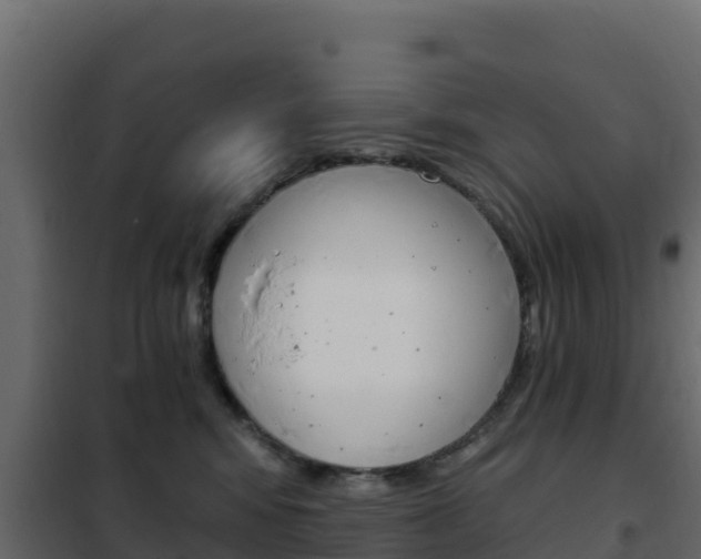 X0000102490424200808081100