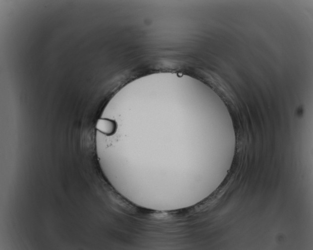 X0000102490425200808081100