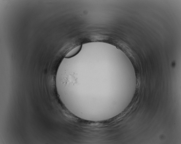 X0000102490426200808081100