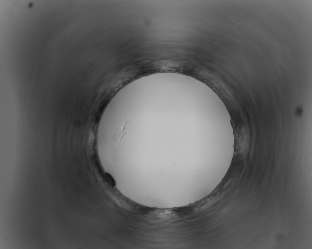 X0000102490427200808081100