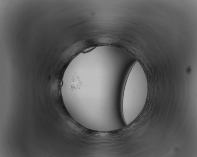 X0000102490428200808081100