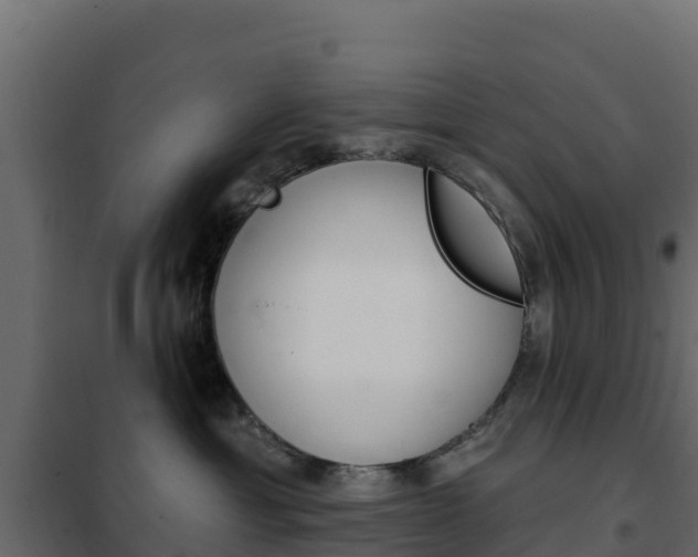X0000102490429200808081100