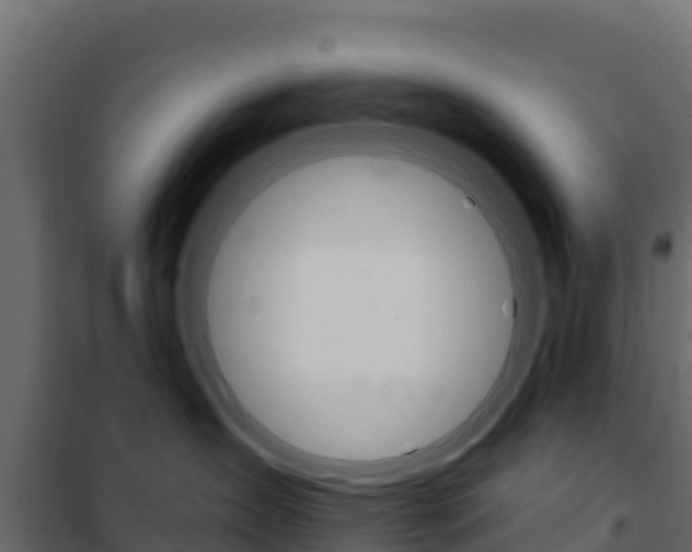 X0000102490431200808081100