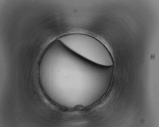 X0000102490433200808081100
