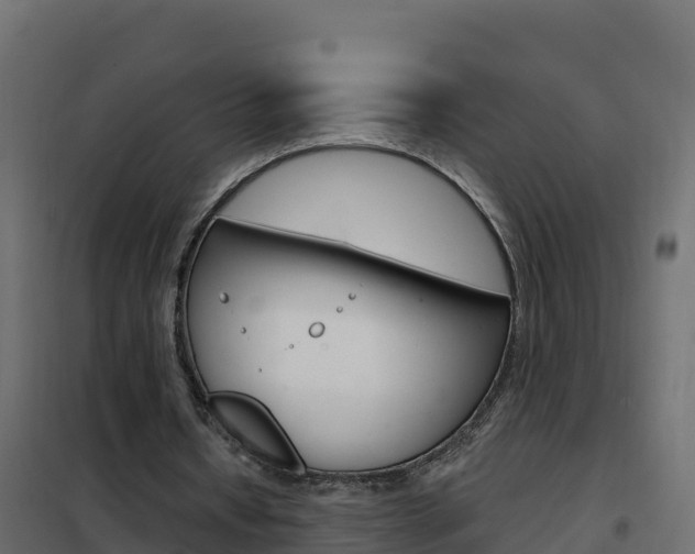 X0000102490434200808081100