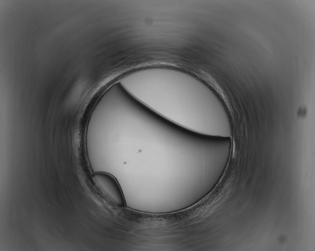 X0000102490435200808081100