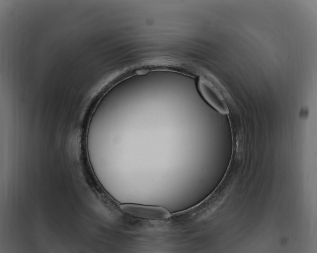 X0000102490436200808081100
