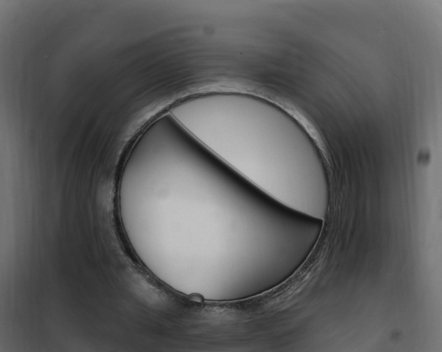 X0000102490437200808081100