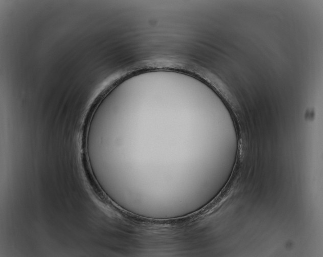 X0000102490438200808081100