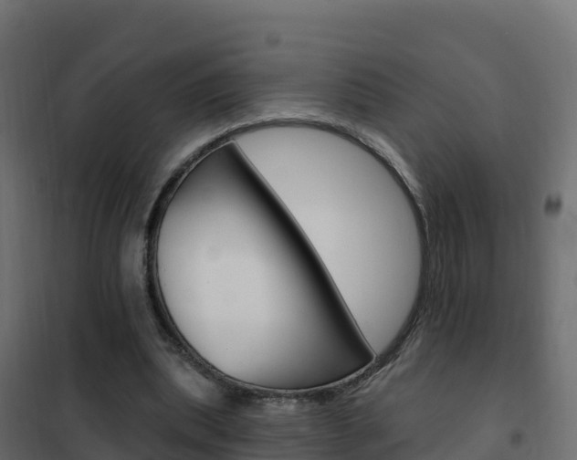 X0000102490439200808081100