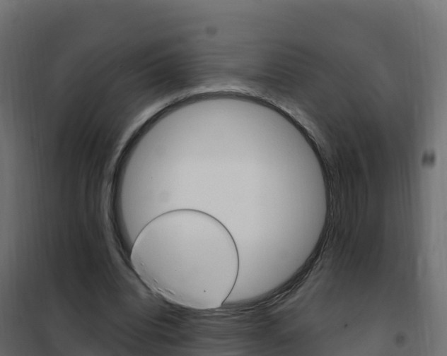 X0000102490440200808081100
