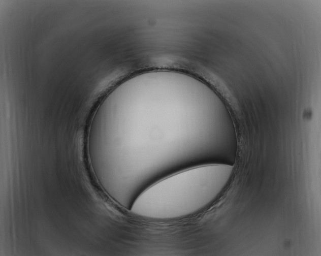 X0000102490442200808081100