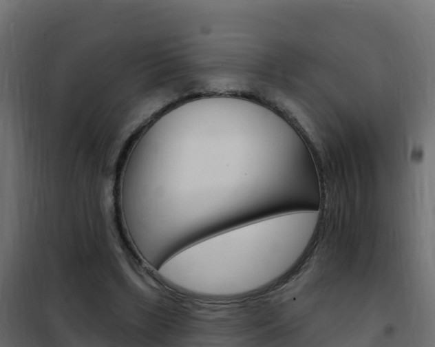 X0000102490443200808081100