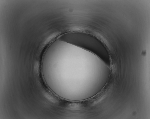 X0000102490444200808081100