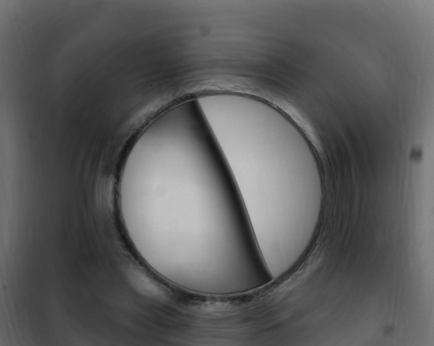 X0000102490445200808081100