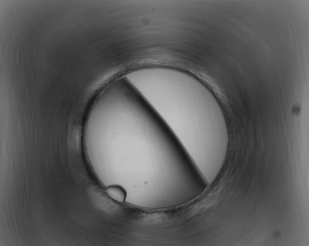 X0000102490446200808081100