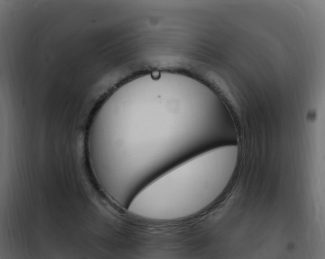 X0000102490447200808081100