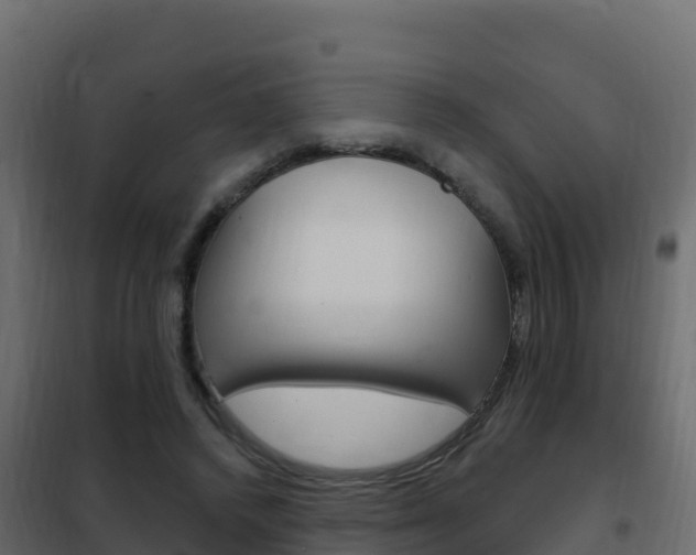 X0000102490448200808081100