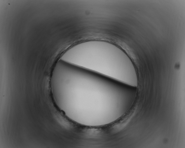X0000102490449200808081100
