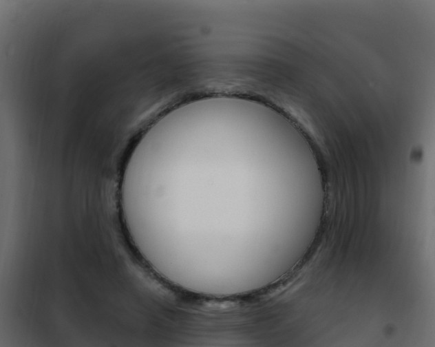 X0000102490450200808081100