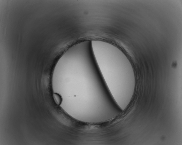 X0000102490451200808081100