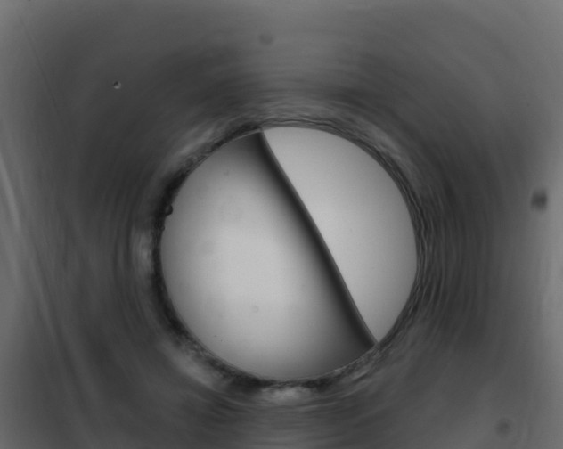 X0000102490452200808081100