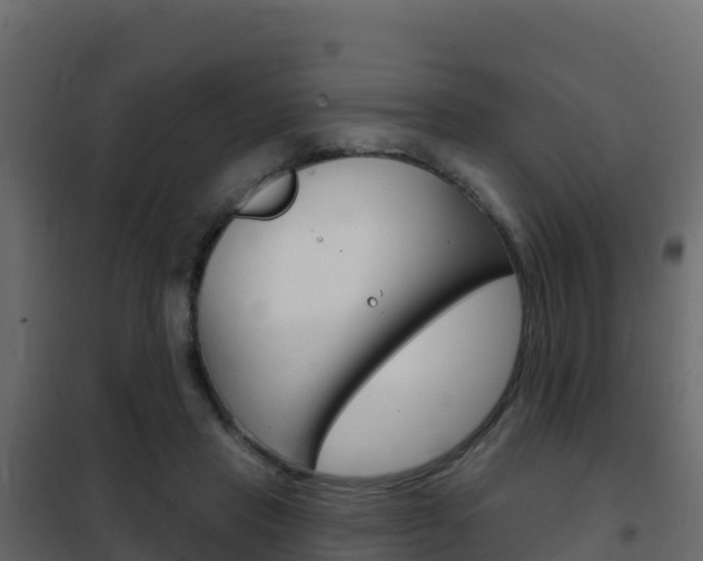 X0000102490453200808081100