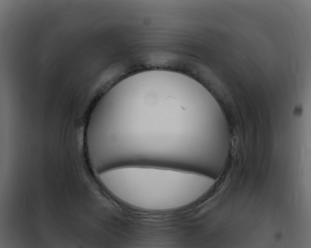 X0000102490454200808081100