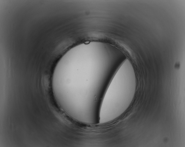 X0000102490455200808081100