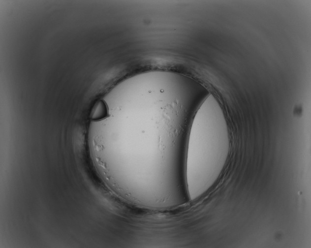 X0000102490456200808081100