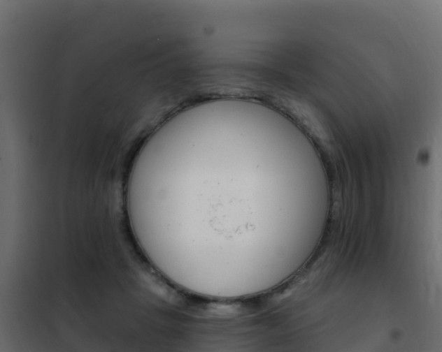 X0000102490457200808081100