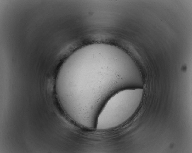 X0000102490458200808081100